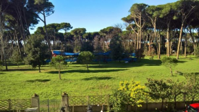 Casa della pineta